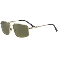 Serengeti Wayne SS546001 Shiny Light Gold / 555nm Polarised Photochromic Lenses