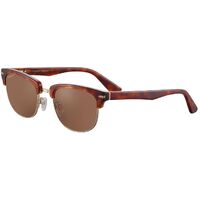 Serengeti Chadwick SS562003 Shiny Classic Havana w Shiny Light Gold / Drivers Polarised Photochromic Lenses