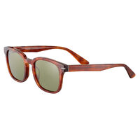 Serengeti Ethan SS575003 Shiny Classic Havana / 555nm Polarised Photochromic Lenses