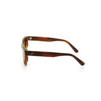 Bask Eyewear Luca 24-1420 Brown Stripe / Brown Polarised Lenses