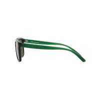 Arnette Lebowl AN4321 28719A-54 Black / Dark Green Polarised Lenses
