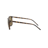 Ray-Ban RB4387 710/73-56 Havana / Dark Brown Classic B-15 Lenses