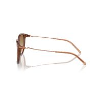 Emporio Armani EA4220 61103B-54 Shiny Transparent Light Brown / Yellow Gradient Light Brown Lenses