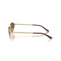 Ray-Ban RB3734 001/M2-56 Arista Gold / Brown Gradient Polarised Lenses
