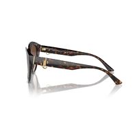 Jimmy Choo JC5007F 500213-55 Havana / Brown Gradient Lenses