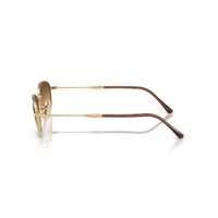 Ray-Ban RB3749 001/51-55 Arista Gold / Clear Gradient Brown Lenses
