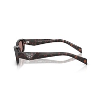 Prada PRB06S 17N60B-53 Root Tortoise / Light Brown Lenses