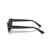 Ray-Ban RB4457D 667787-55 Black / Dark Grey Lenses