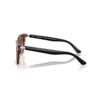 Emporio Armani EA4250U 626613-54 Shiny Striped Brown / Brown Gradient Lenses