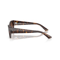Ray-Ban RB4430 135913-52 Zena Havana / Brown Gradient Lenses