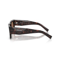 Prada PRB17S 17N06B-54 Root Tortoise / Dark Brown Lenses