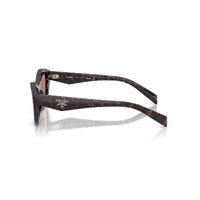 Prada PRA02S 17N60B-52 Root Tortoise / Light Brown Lenses