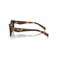 Prada PRA02S 17N09Z-52 Root Tortoise / Dark Brown Lenses