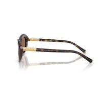 Dolce & Gabbana DG4519 502/73-54 Havana / Dark Brown Lenses