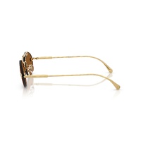 Versace VE2295 100273-56 Gold / Dark Brown Lenses