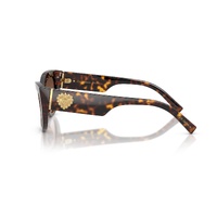 Dolce & Gabbana DG4536 502/13-55 Havana / Brown Gradient Lenses