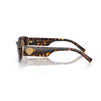 Dolce & Gabbana DG4537 502/73-53 Havana / Dark Brown Lenses