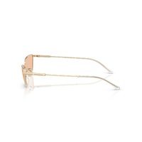 Emporio Armani EA2174B 301393-55 Shiny Pale Gold / Brown Lenses