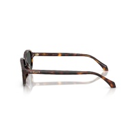 Versace VE4514D 553773-53 Havana / Dark Brown Lenses