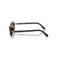 Miu Miu MUB10SU 16K90Q-55 Black / Brown Lenses