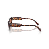 Miu Miu MUB11SU 27L90Q-55 Havana / Brown Lenses