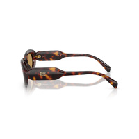 Miu Miu MUC01S 27L10Y-53 Havana / Brown Lenses