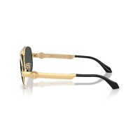 Versace VE2302 152387-60 Gold / Dark Grey Lenses