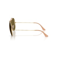 Ray-Ban The Shooter By Dolce & Gabbana RB3138M 001/73-58 Arista Gold / Dark Brown Lenses
