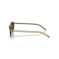 Prada PRD17S 27O9L1-52 Transparent Loden / Dark Brown Lenses