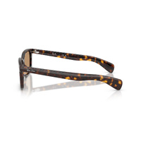 Ray-Ban RB2234 902/53-53 Brunel Havana / Brown Lenses