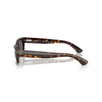 Ray-Ban RB2236 902/B1-54 Havana / Dark Grey Lenses