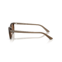 Ray-Ban RB4456 677973-53 Zaya Transparent Brown / Dark Brown Lenses