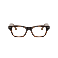 Ray-Ban x Meta Audio (Gen 3) Burbank RW7005 6928M4-51 Havana / Brown Transition Photochromic Lenses