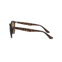 Ray-Ban RB4305 710/83-53 Tortoise / Brown Classic B-15 Polarised Lenses