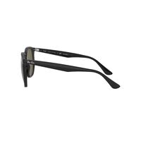 Ray-Ban RB4306 601/9A-54 Black / Green Classic G-15 Polarised Lenses
