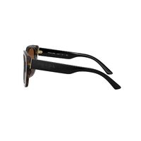 Prada PR24XS 2AU6S1-52 Havana / Brown Gradient Lenses