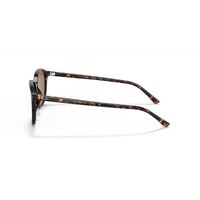 Ray-Ban RB2193 902/57-53 Leonard Matte Tortoise / Classic Brown B-15 Polarised Lenses