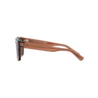 Ray-Ban RB4396 66789A-57 Warren Transparent Brown / Dark Green Polarised Lenses