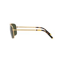 Ray-Ban RB3796 919631-59 Gold / Green Lenses