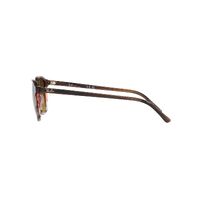 Ray-Ban RB2193 138085-55 Leonard Striped Brown & Red / Brown Lenses