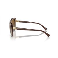 Vogue VO5515SB 2940T5-55 Transparent Brown / Brown Gradient Polarised Lenses