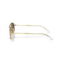 Ray-Ban RB3719 001/31-54 Gold / Green Classic G-15 Lenses