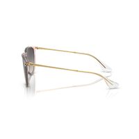 Ray-Ban RB4171 674211-54 Erika Transparent Pink / Grey Gradient Lenses