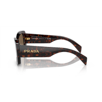 Prada PRA08S 16N5Y1-56 Briar Tortoise / Dark Brown Lenses