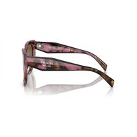Prada PR14WS 18N01T-52 Tortoise Cognac Begonia / Dark Brown Lenses