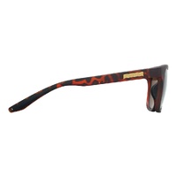 Pit Viper The Landlocked Highball Brown Tortoise / Brown Polarised Lenses
