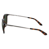 Dragon Billie DR48077 240-53 Shiny Tortorise / G15 Luma Lenses