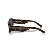 Arnette Thekidd AN4318 122271-53 Dark Havana / Dark Green Lenses