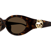 Gucci GG1662SA 002 Havana / Brown Lenses