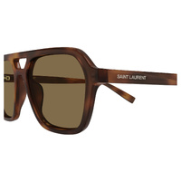Saint Laurent SL905 003 Havana / Brown Lenses